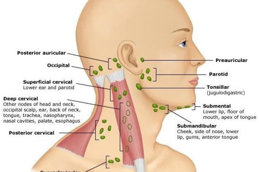 Lump on Neck: Could it be Cancer?