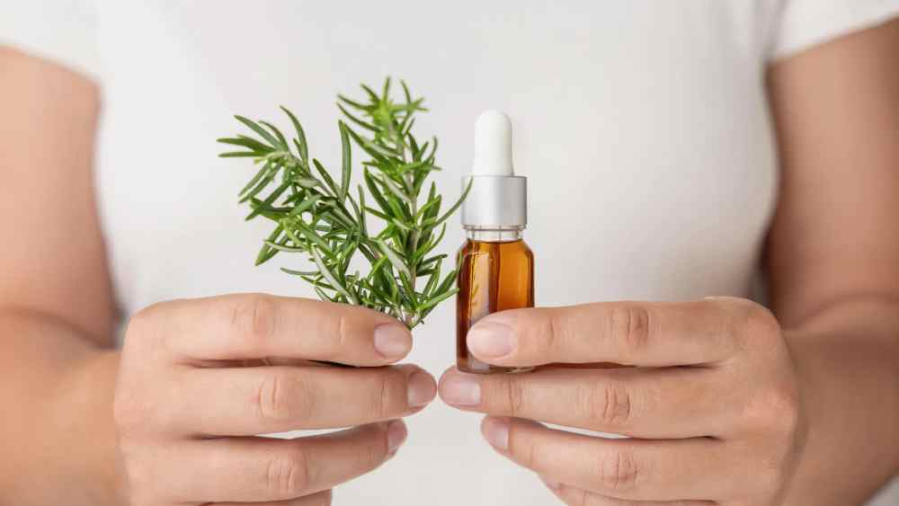 TikTok Got It Right? The Science Behind Rosemary’s Secret to Scar-Free Skin